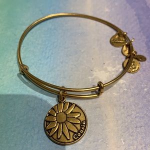 ✨5/$10✨ Alex and Ani Cousins bracelet
